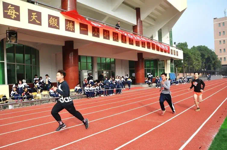 室内健身房器械锻炼计划